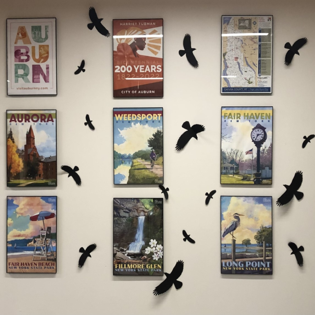 office wall with pictures and paper crows decorating the walls