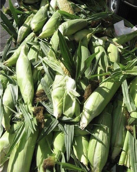 The Freshest Produce at the Farmer's Market