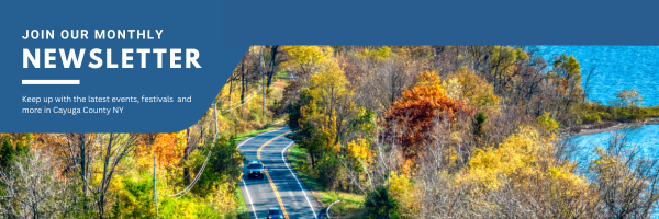 newsletter sign up call out with  a Ariel photo of fall trees and a road