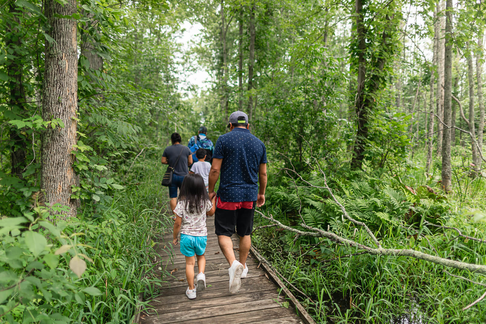 family walking along a trail in the spring