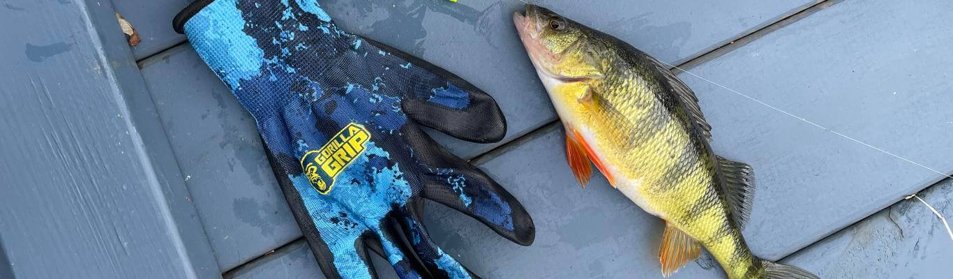 Fishing on Skaneateles Lake - TourCayuga