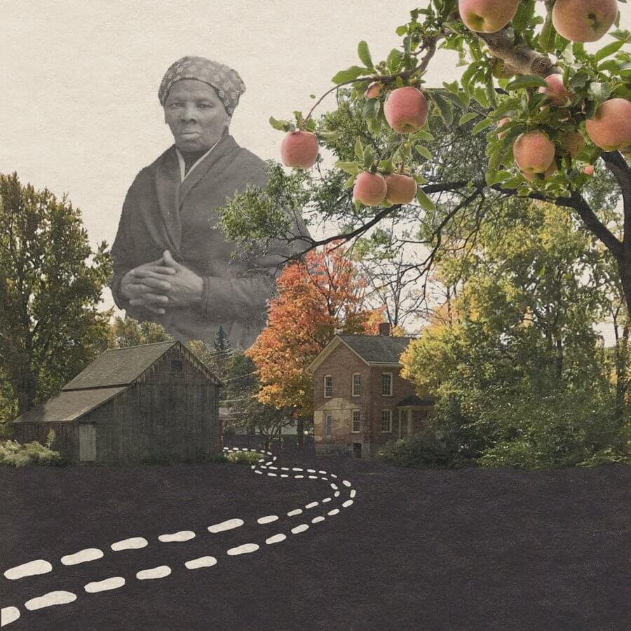 Harriet Tumban, apple trees and road