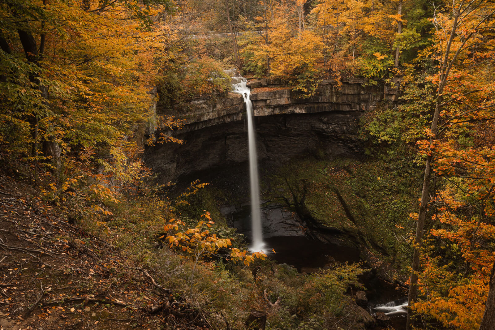 Waterfalls of Cayuga County