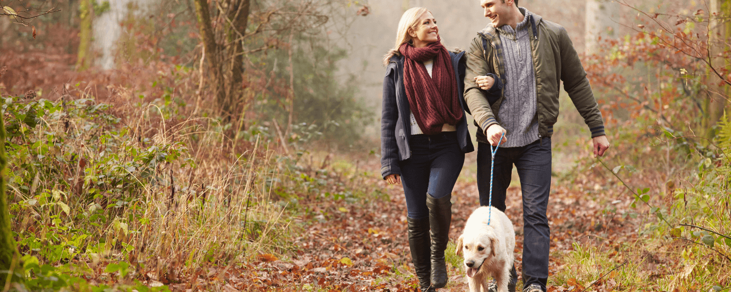 a women and a man walking a dog on a trail in the fall